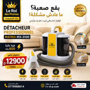Détacheur Professionnel 600W Matrix MX-3100