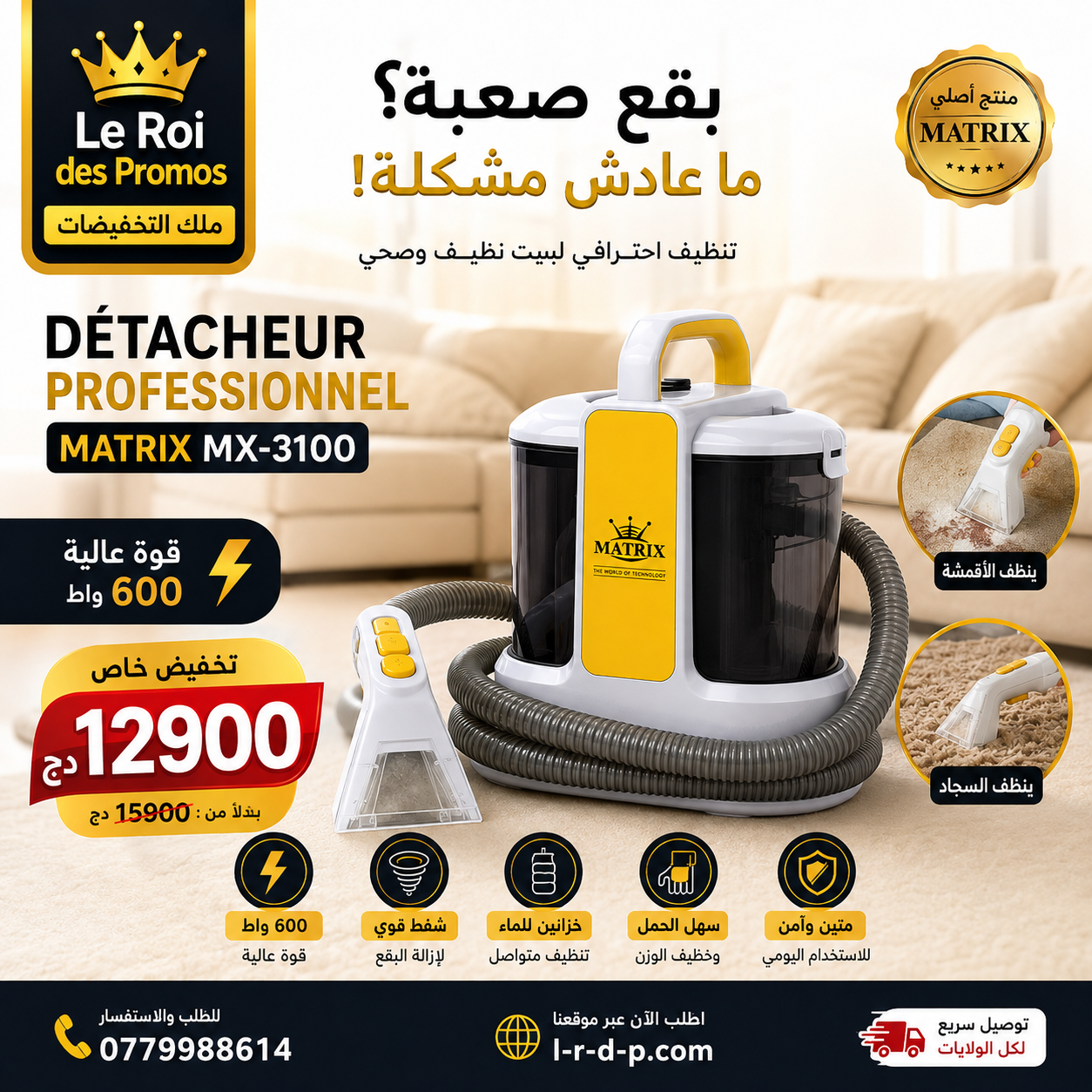 Détacheur Professionnel 600W Matrix MX-3100