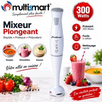 Bras Mixeur 300W Multismart MS-HB2111